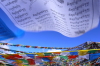 Photograph_tibet2009